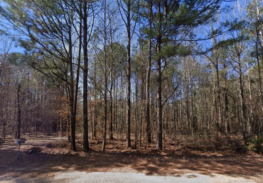 0 Chaffee Road Leesville, LA 71446 - Photo 5 of 21 Gallery Image 5