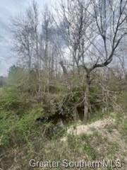 0 Chaffee Road Leesville, LA 71446 - Photo 6 of 21 Gallery Image 6