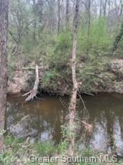 0 Chaffee Road Leesville, LA 71446 - Photo 8 of 21 Gallery Image 8