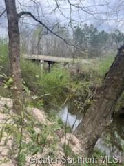 0 Chaffee Road Leesville, LA 71446 - Photo 9 of 21 Gallery Image 9