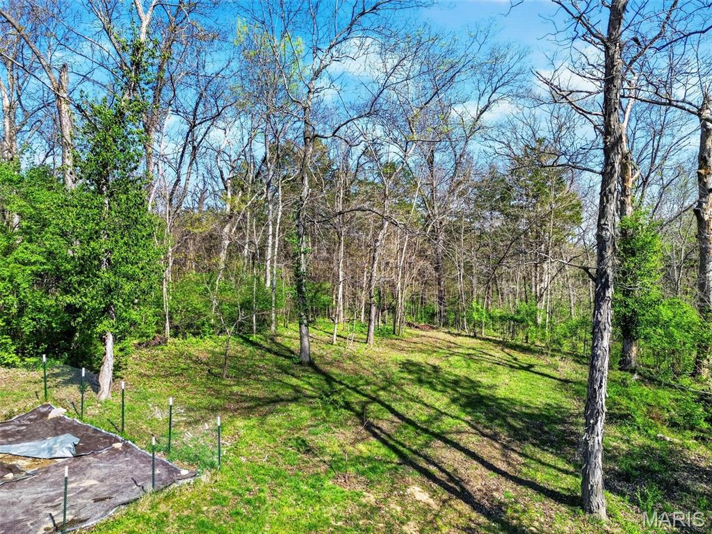 2567 Sugar Lake Road Pacific, MO 63069 - Photo 74 of 90