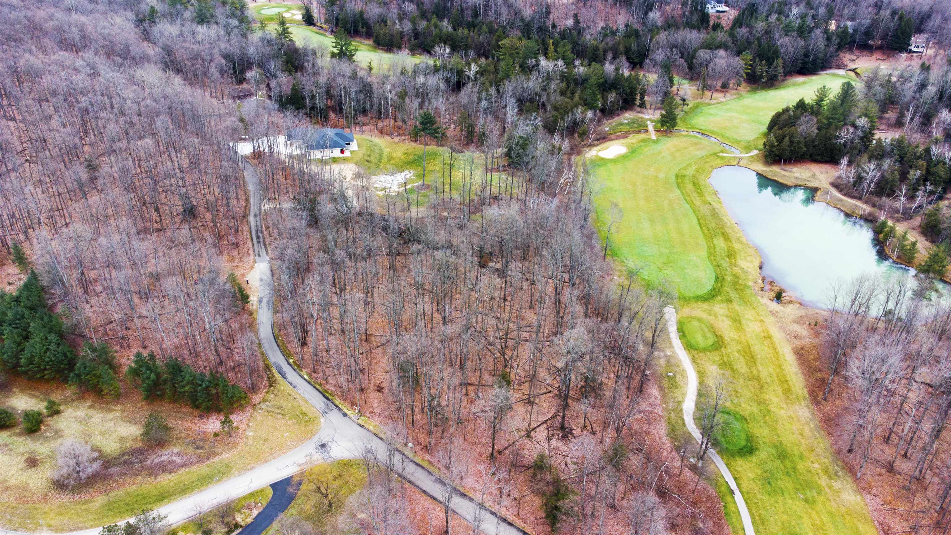 0 Walkers Way Road Bellaire, MI 49615 - Photo 5 of 30