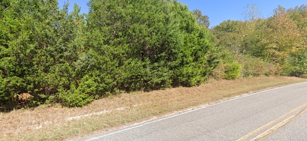 0 Buena Vista Road Huntingdon, TN 38344 - Photo 1 of 3