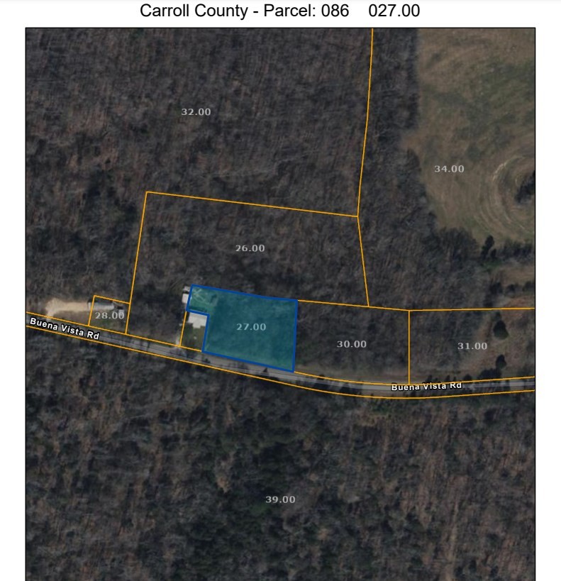 0 Buena Vista Road Huntingdon, TN 38344 - Photo 3 of 3