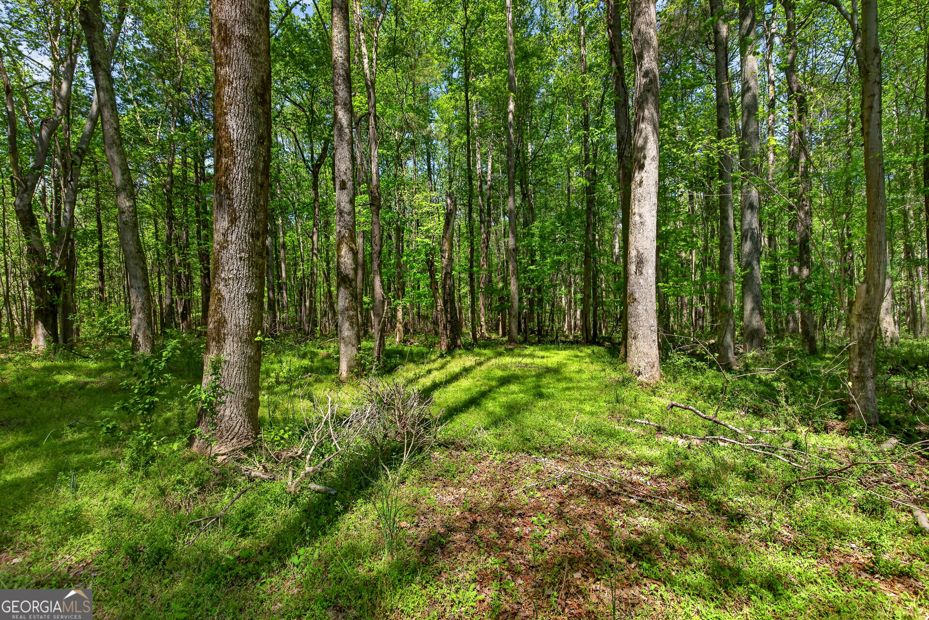 208 Thompson Road Tyrone, GA 30290 - Photo 15 of 62