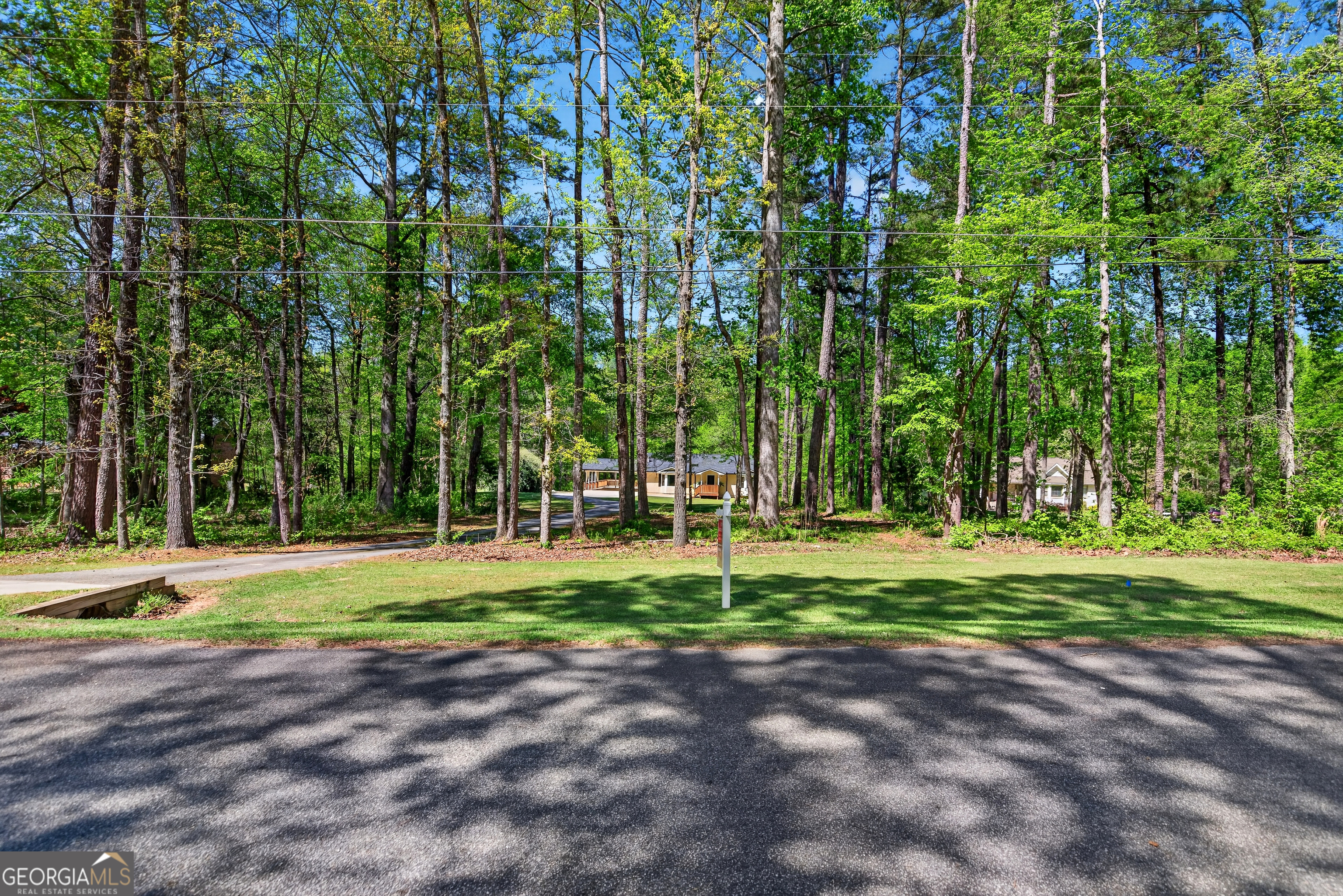 208 Thompson Road Tyrone, GA 30290 - Photo 19 of 62