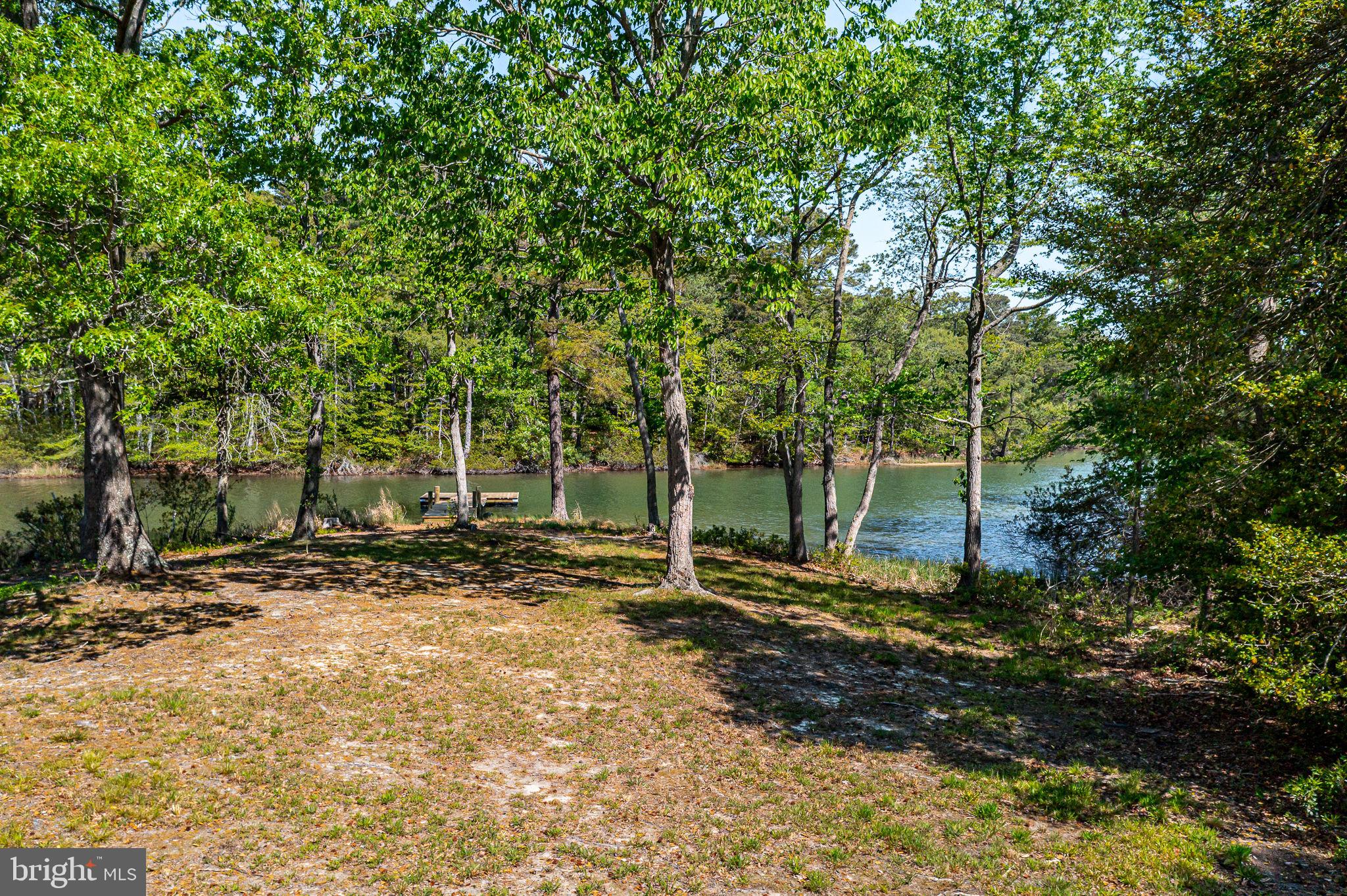 529 Taylors Beach Road Reedville, VA 22539 - Photo 39 of 57 Serene lakeside retreat with lush trees.