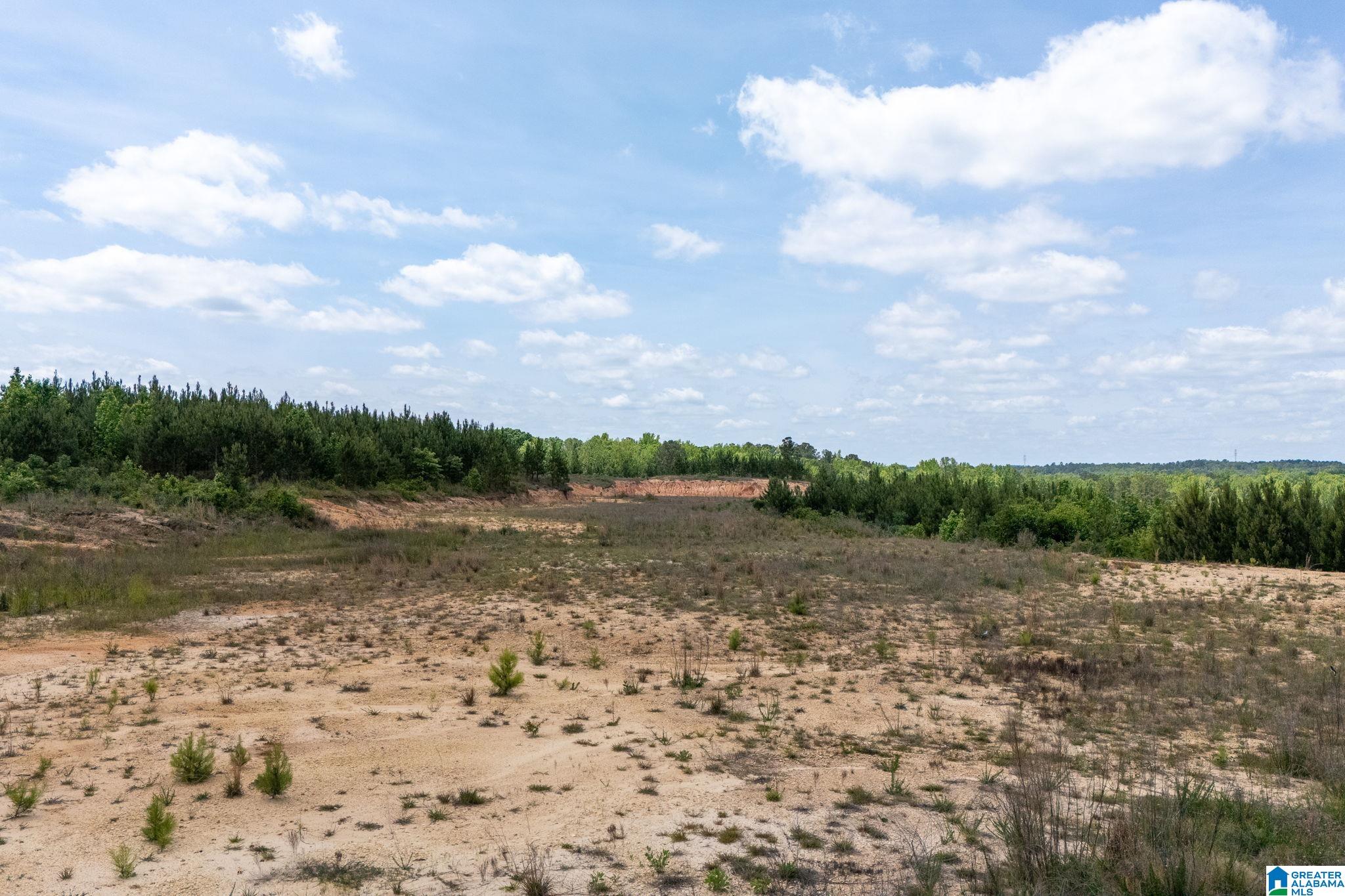 16 County Road Maplesville, AL 36750 - Photo 20 of 26
