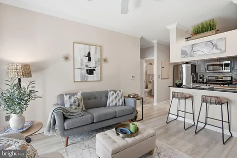 a living room with furniture kitchen and a potted plant