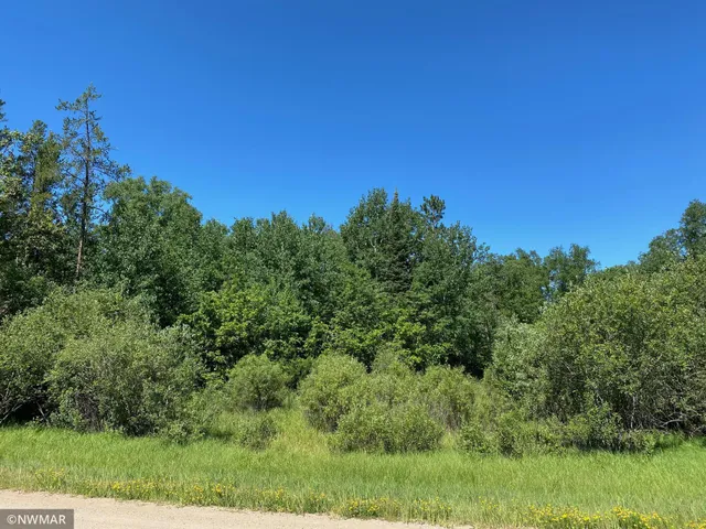 $29,900 | Tbd (l11-b2) Grant Hills Road Southwest, Bemidji, MN 56601