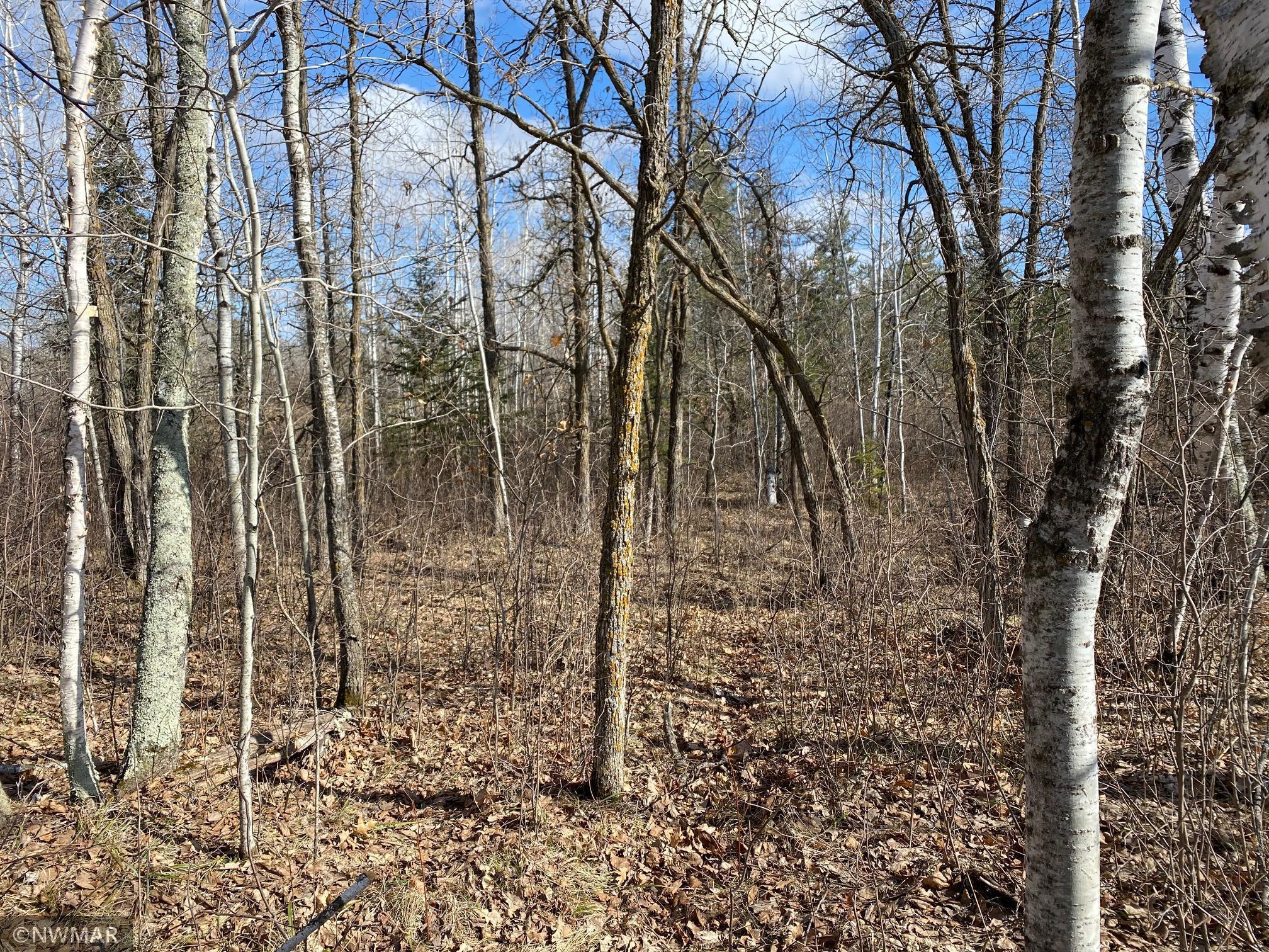 Tbd (l11-b2) Grant Hills Road Southwest Bemidji, MN 56601 - Photo 2 of 7