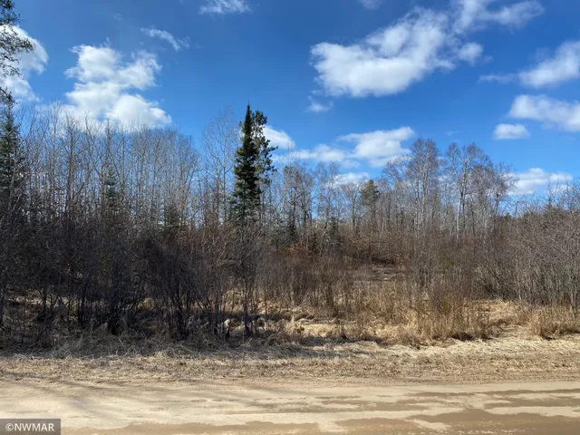 $29,900 | Tbd (l11-b2) Grant Hills Road Southwest, Bemidji, MN 56601