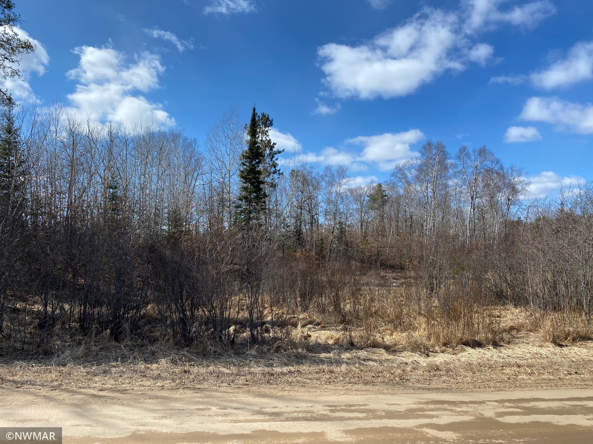 Tbd (l11-b2) Grant Hills Road Southwest Bemidji, MN 56601 - Photo 3 of 7