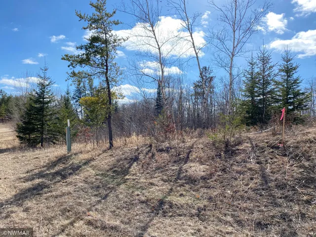 $29,900 | Tbd (l11-b2) Grant Hills Road Southwest, Bemidji, MN 56601