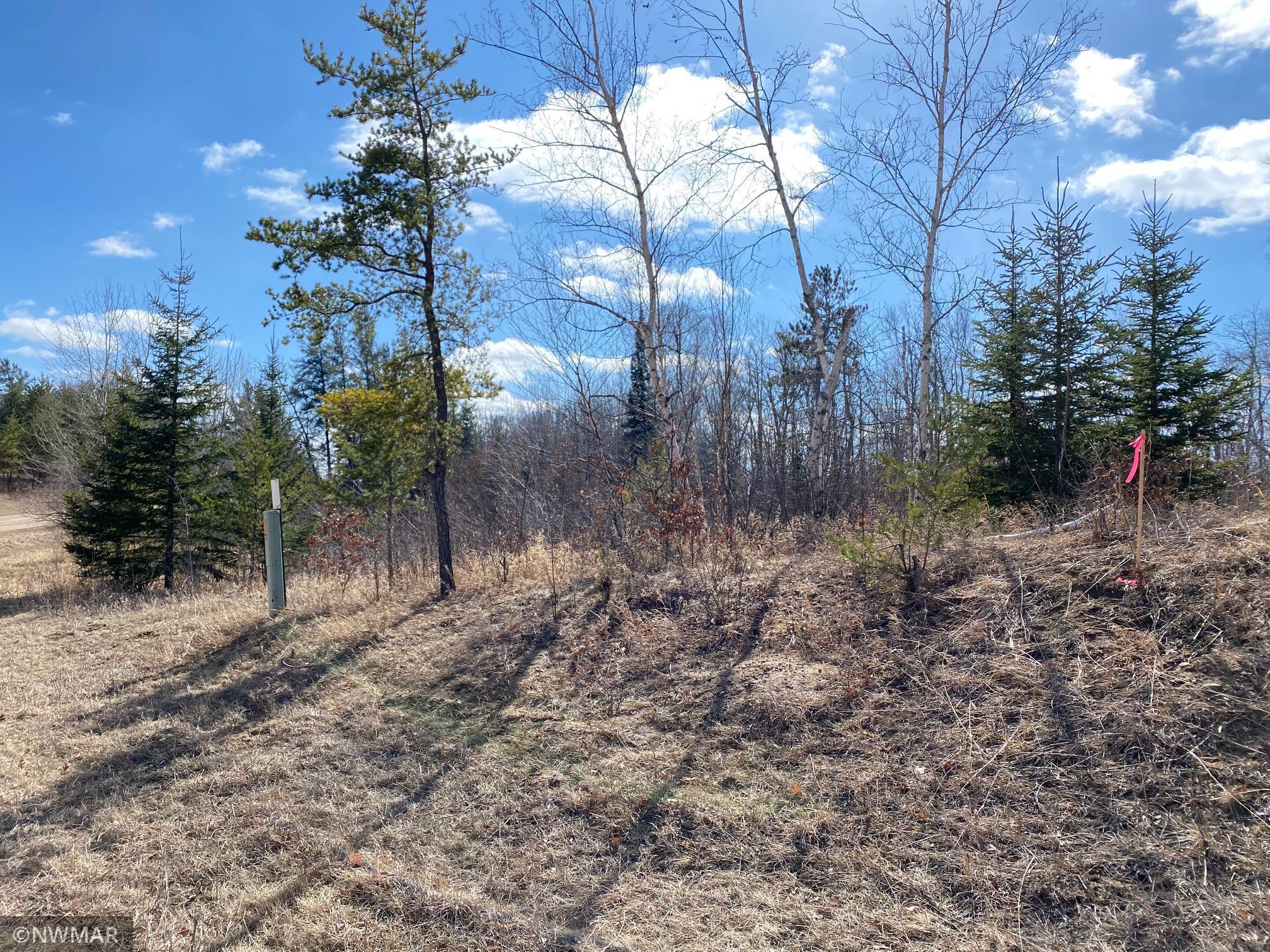 Tbd (l11-b2) Grant Hills Road Southwest Bemidji, MN 56601 - Photo 4 of 7