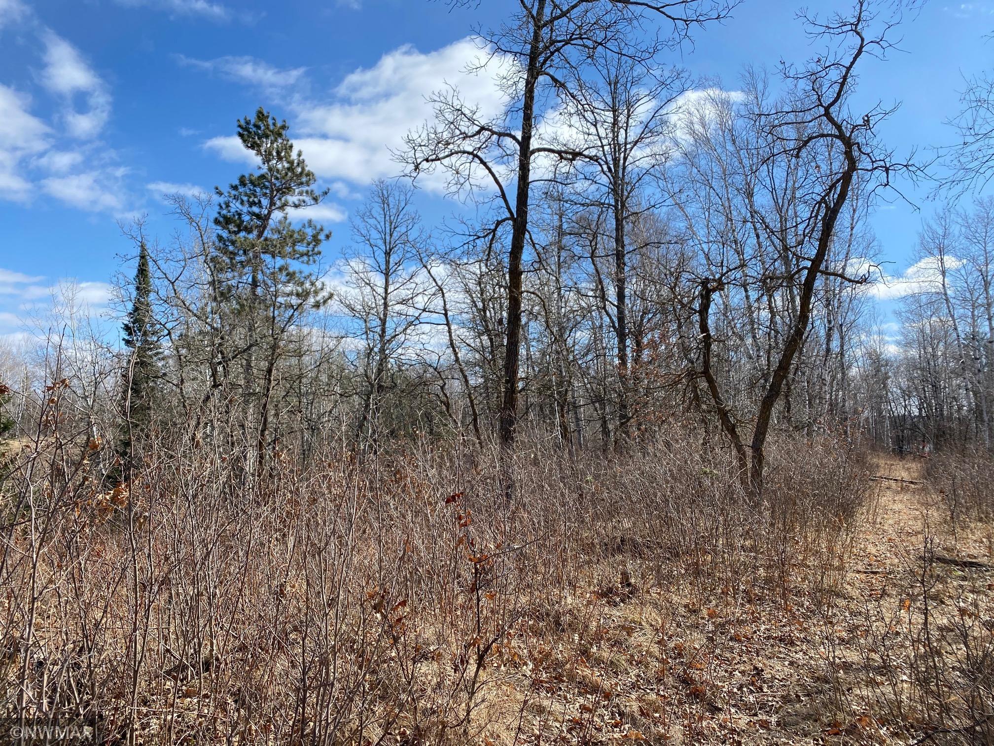 Tbd (l11-b2) Grant Hills Road Southwest Bemidji, MN 56601 - Photo 5 of 7