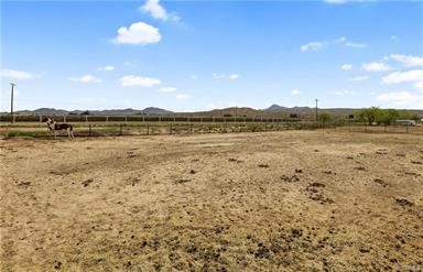 14433 Roy Rogers Ranch Road Oro Grande, CA 92368 - Photo 59 of 64