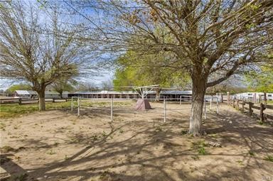 14433 Roy Rogers Ranch Road Oro Grande, CA 92368 - Photo 63 of 64 a view of yard with trees