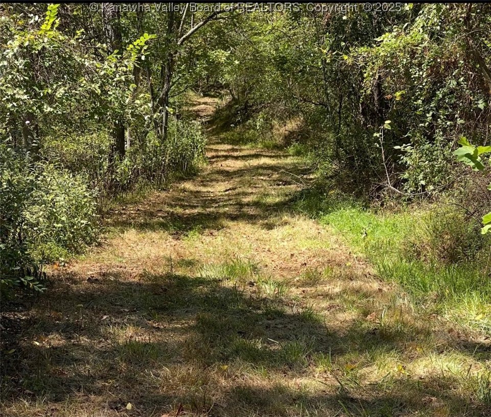0 Baier Ridge Road Cottageville, WV 25239 - Photo 2 of 16 Gallery Image 2
