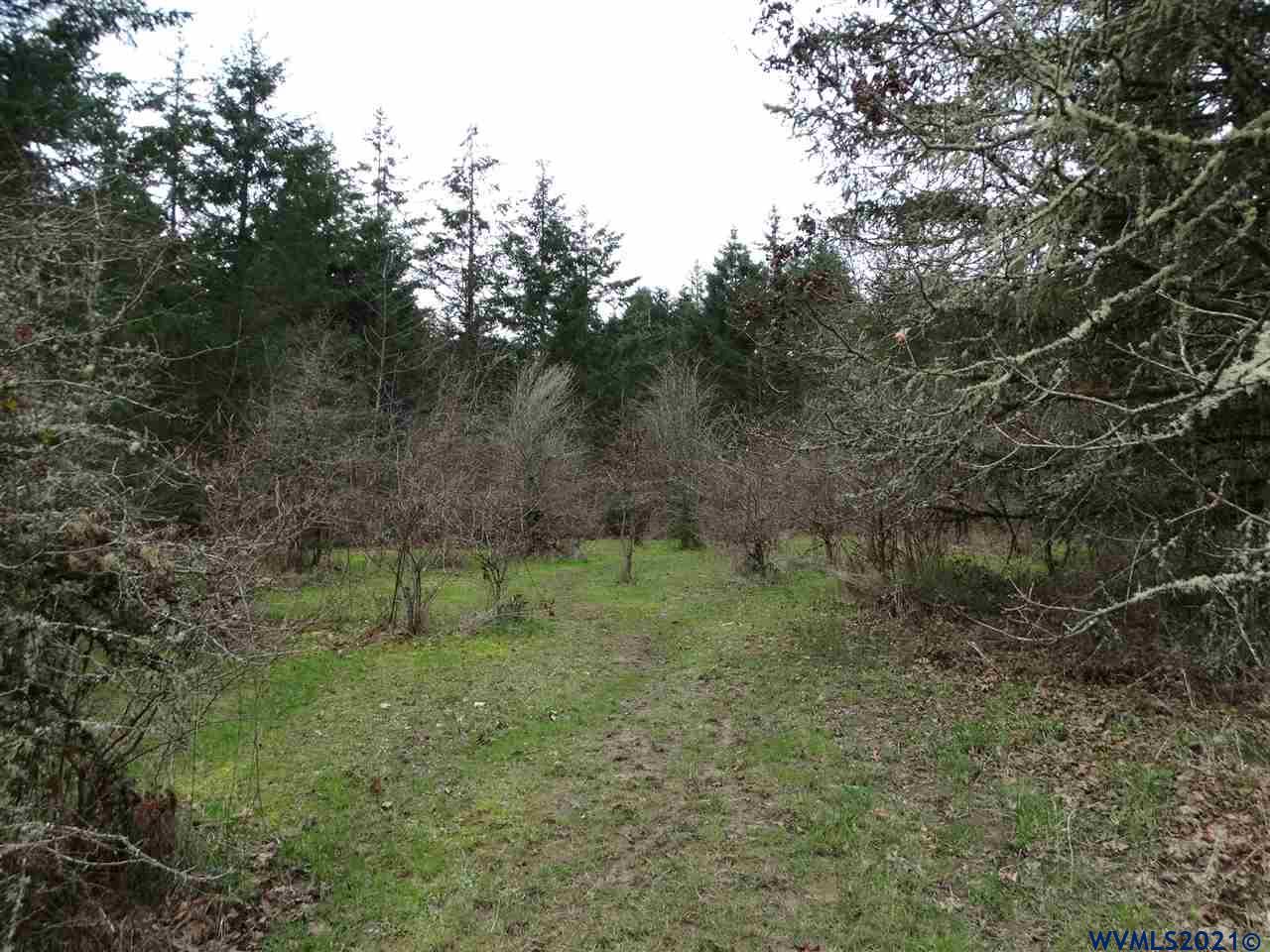 12615 Fishback Road Monmouth, OR 97361 - Photo 20 of 21 a view of trees and bushes