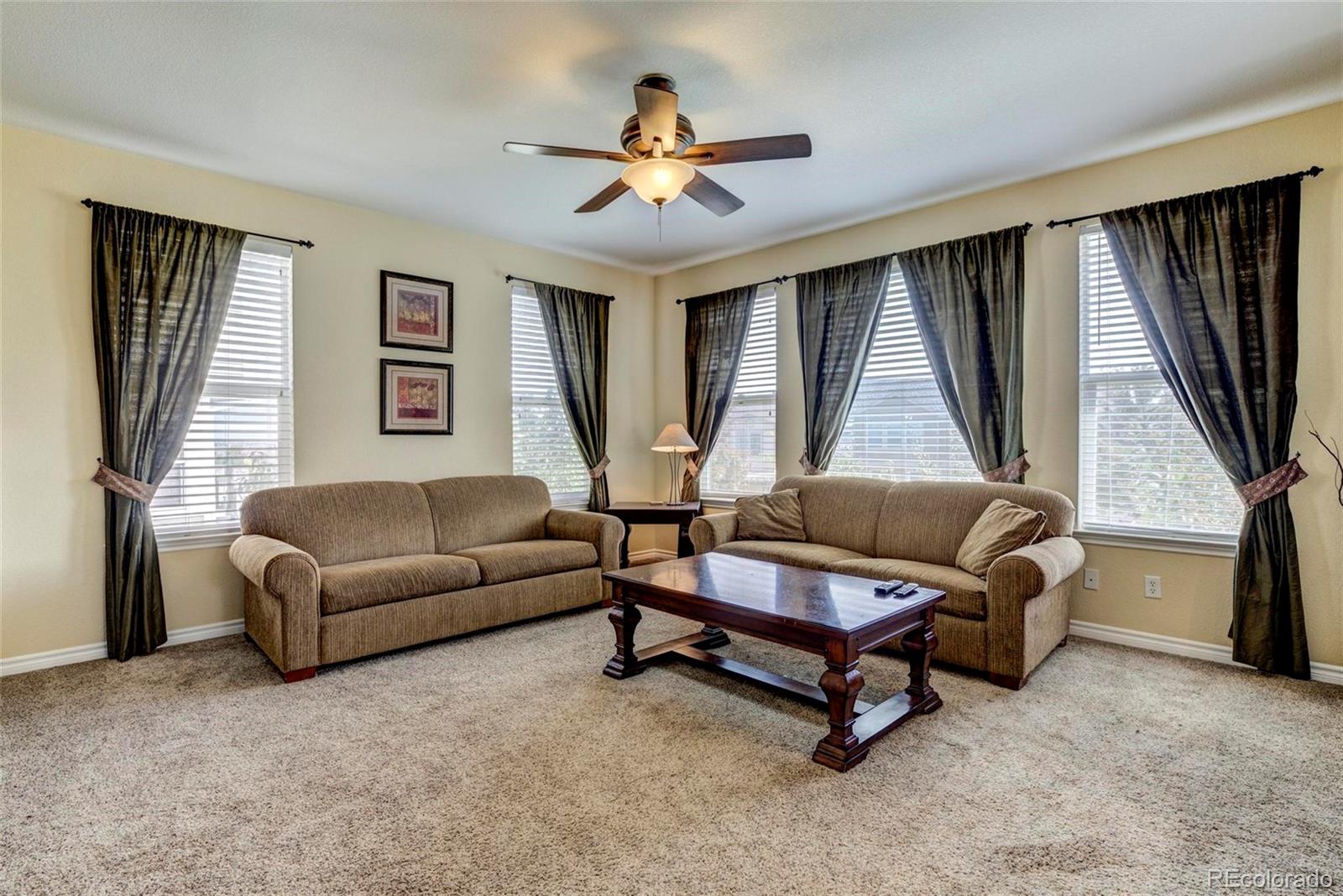 10856 Huntwick Street Highlands Ranch, CO 80130 - Photo 11 of 28 Gallery Image 11