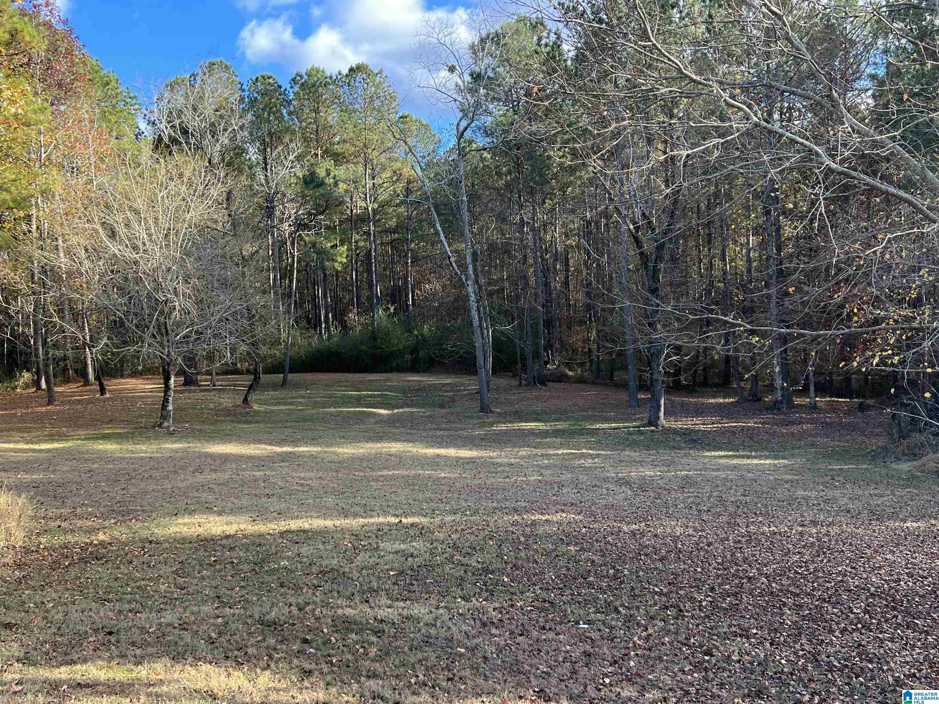 782 County Road 118 Heflin, AL 36264 - Photo 6 of 18