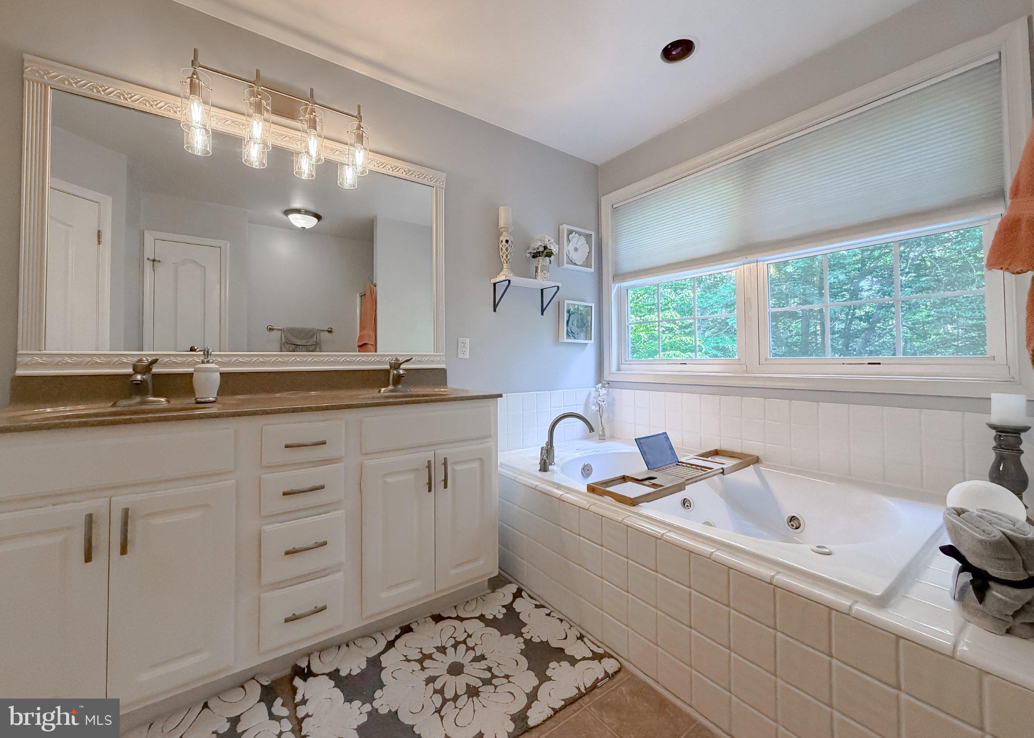 6020 Port Tobacco Road Indian Head, MD 20640 - Photo 11 of 59 Serene bathroom with natural light.
