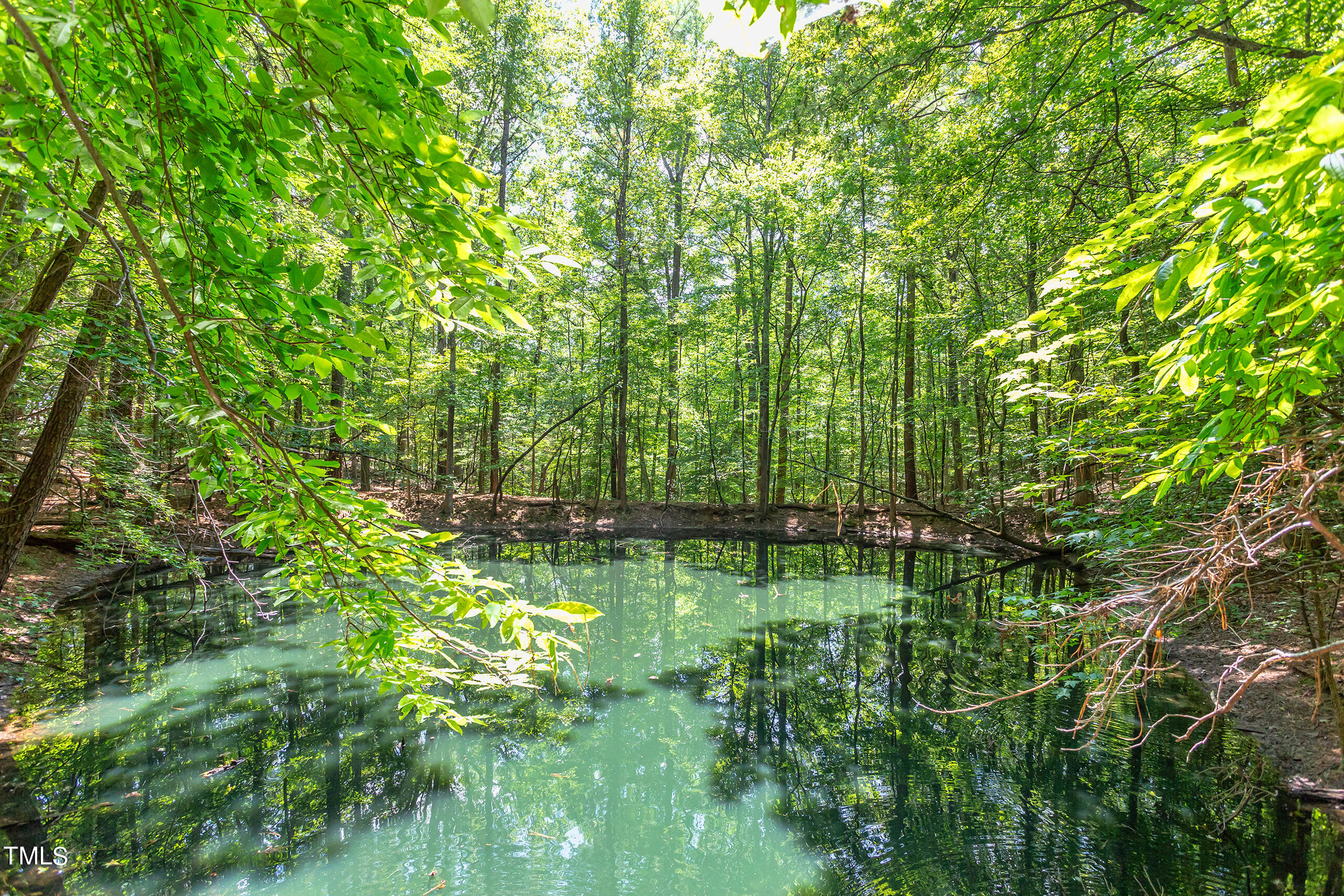 2008 Ridgewood Road Chapel Hill, NC 27516 - Photo 65 of 73 IMG_3112