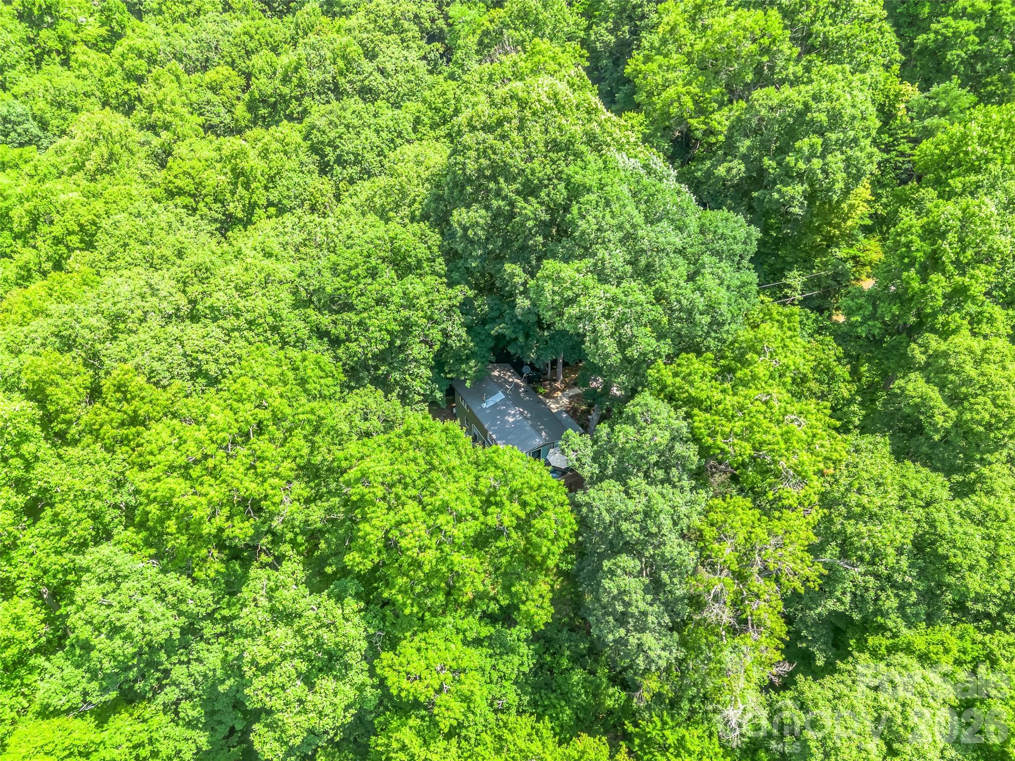 20 Kimberly Road Black Mountain, NC 28711 - Photo 45 of 46