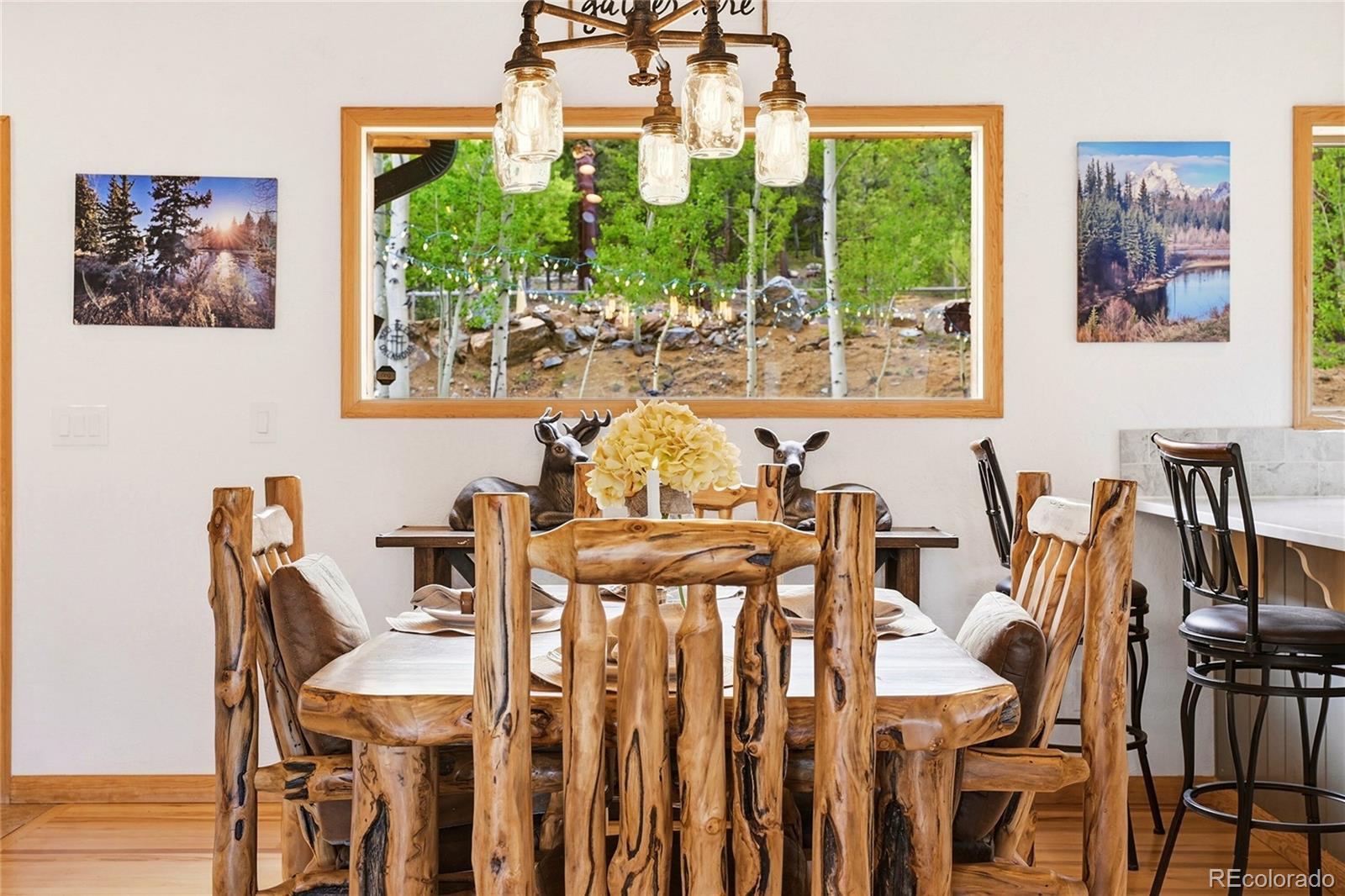 705 Gold Flake Terrace Bailey, CO 80421 - Photo 7 of 48