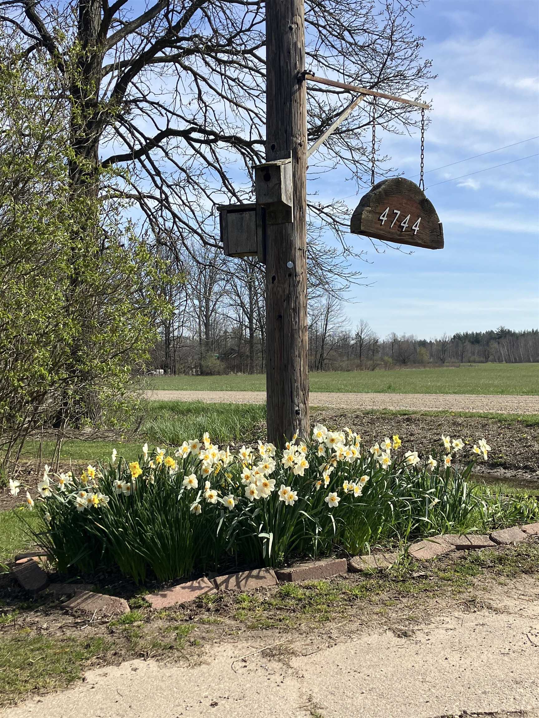 4744 Herner Road Rhodes, MI 48652 - Photo 2 of 21