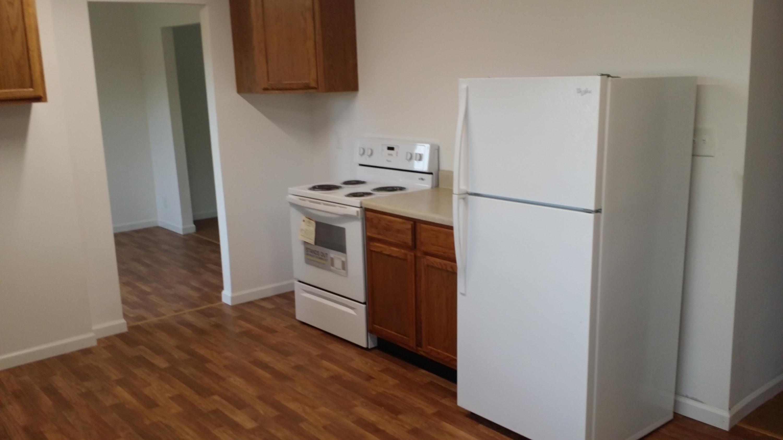 294 Briar Ridge Road Whitwell, TN 37397 - Photo 16 of 27 New cabinets and applinaces