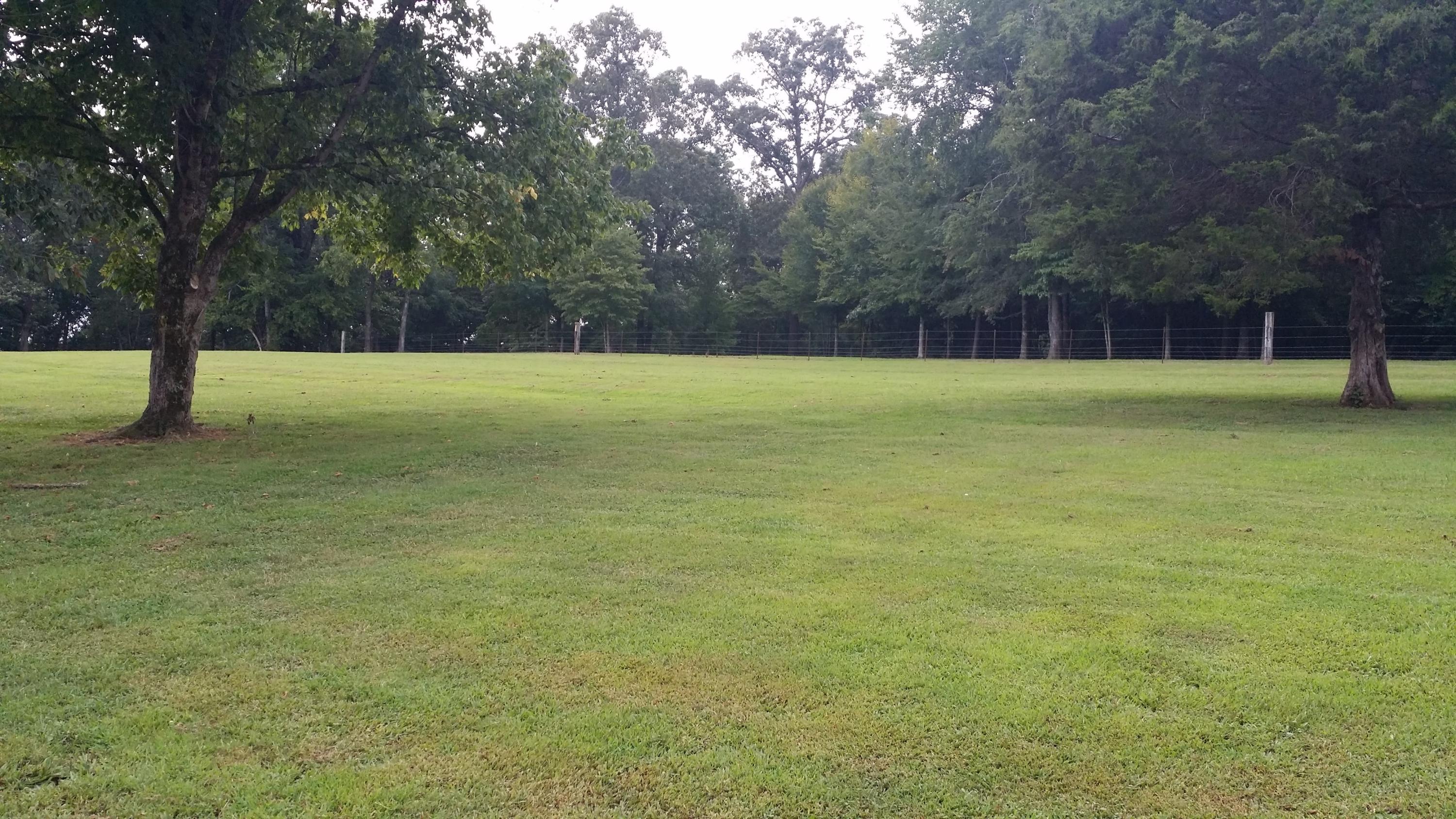 294 Briar Ridge Road Whitwell, TN 37397 - Photo 3 of 27 Front Yard
