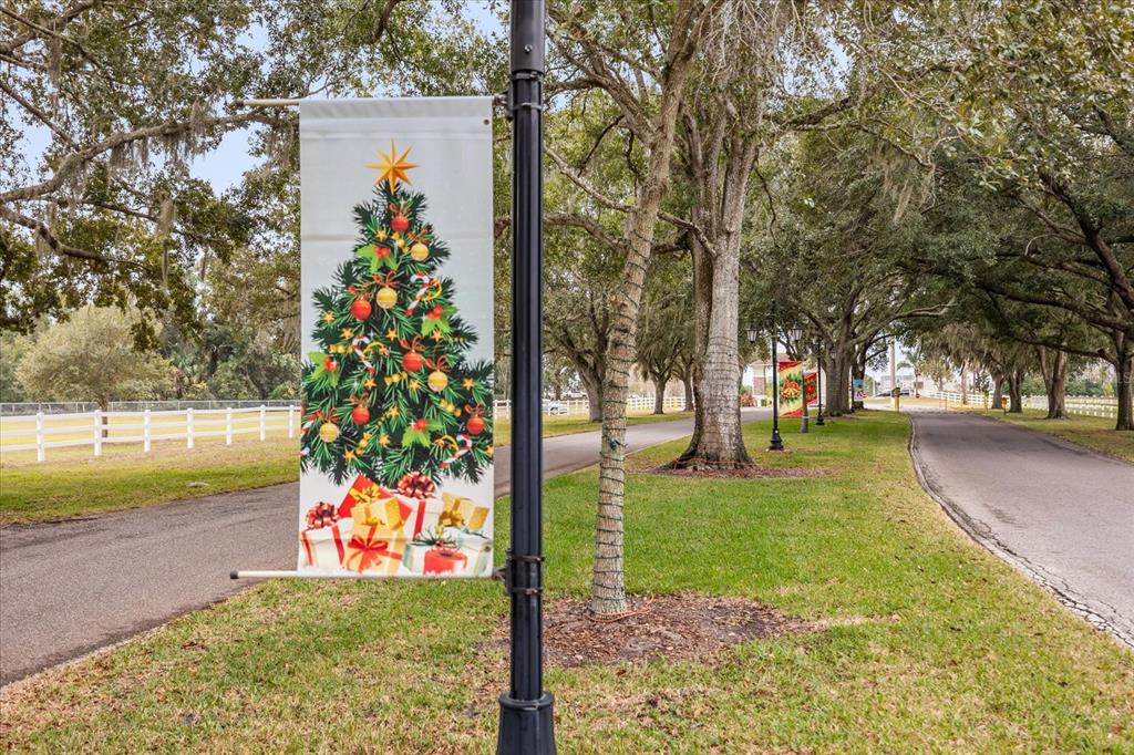 2446 Fairbluff Road, Unit 1554 Zellwood, FL 32798 - Photo 30 of 42