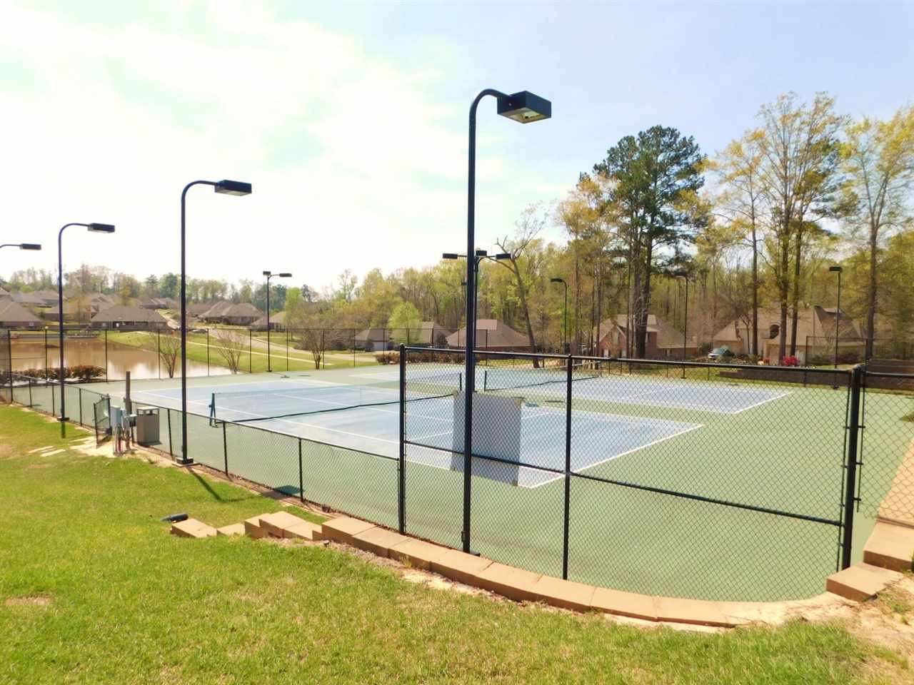 302 Beacon Hill Brandon, MS 39042 - Photo 38 of 41 Photo 38