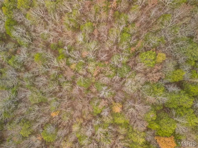 $645,000 | 1535 Hwy H, Farmington, MO 63640