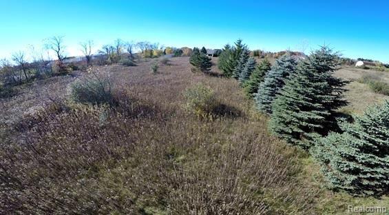 Vac Kidder Road Almont, MI 48003 - Photo 44 of 45