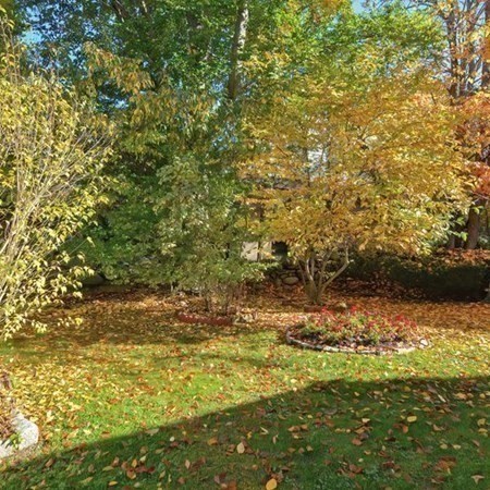 7 Neillian Crescent Boston, MA 02130 - Photo 41 of 42