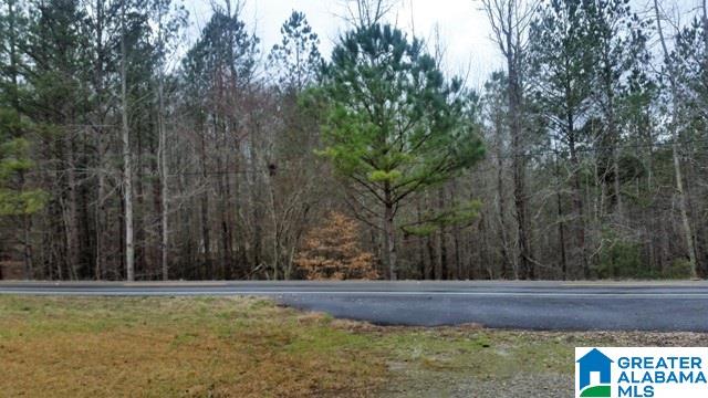 5489 Highway 9 Heflin, AL 36264 - Photo 45 of 50
