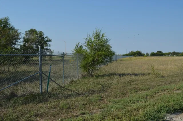 a view of a lake from a yard