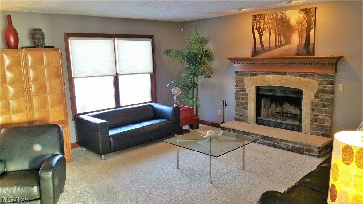 4125 Logans Way Perry, OH 44081 - Photo 13 of 26 Family Room