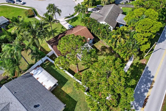 an aerial view of a house with a yard plants and large tree