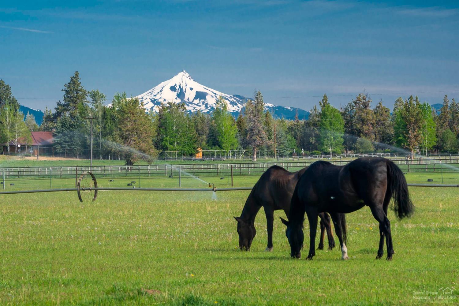 64850 Collins Road Bend, OR 97703 - Photo 1 of 15 Primary Photo