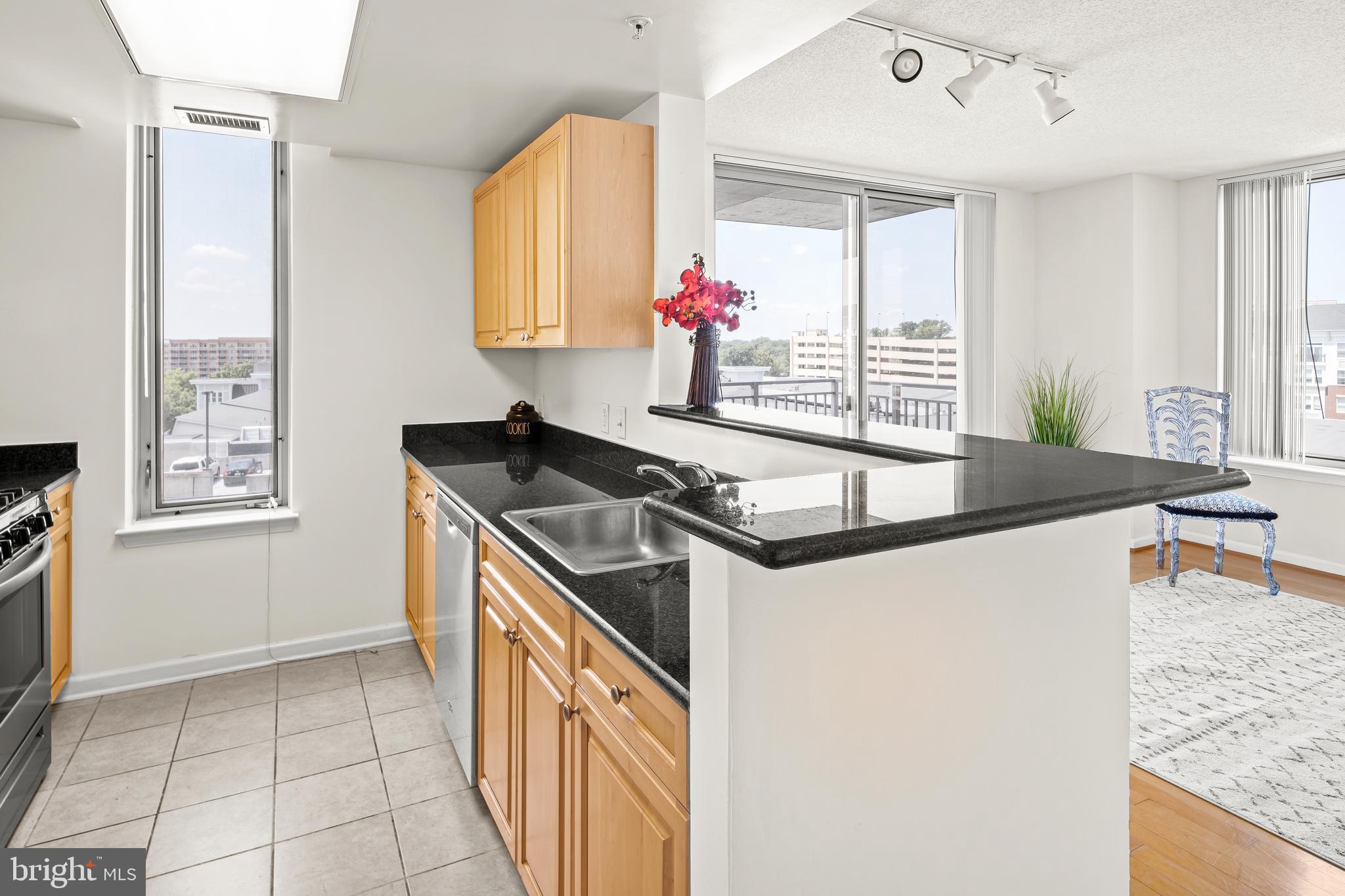 2726 Gallows Road, Unit 819 Vienna, VA 22180 - Photo 14 of 35