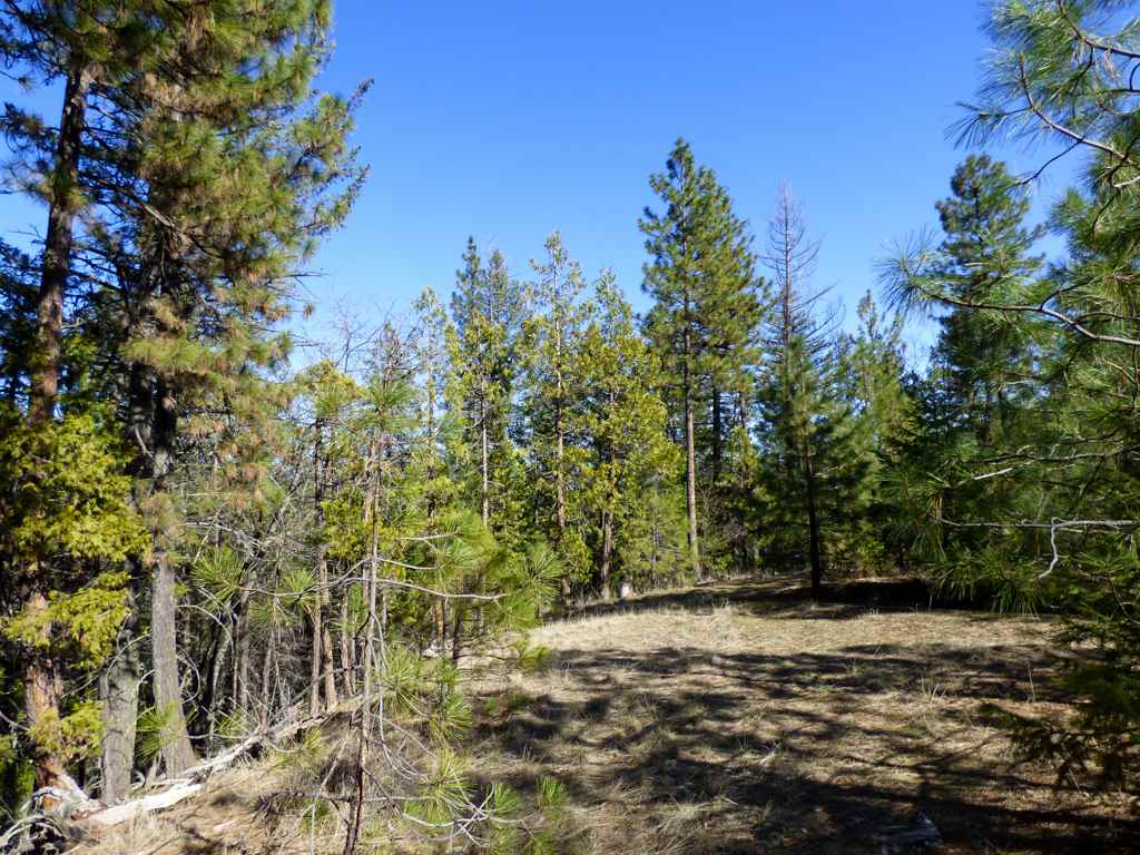 0 Greenhorn Road Yreka, CA 96097 - Photo 14 of 17 Gallery Image 14