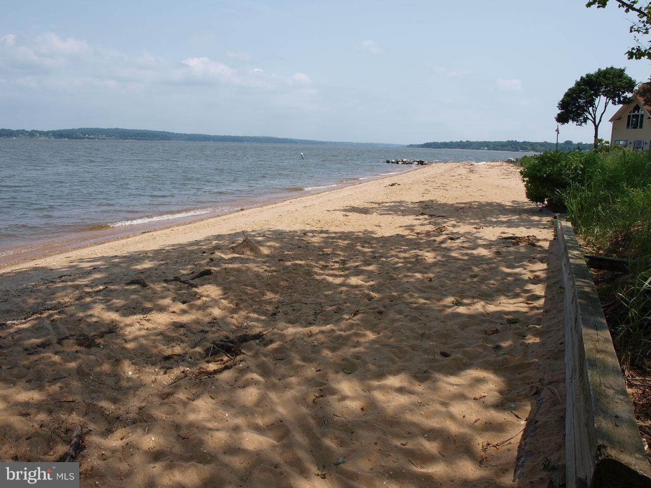 56 Bluff Road Earleville, MD 21919 - Photo 5 of 19 Community Beach