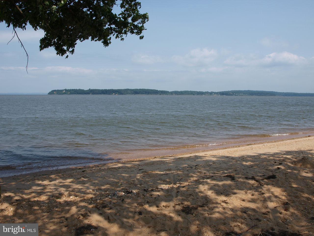 56 Bluff Road Earleville, MD 21919 - Photo 6 of 19 Community Beach looking toward Turkey Point