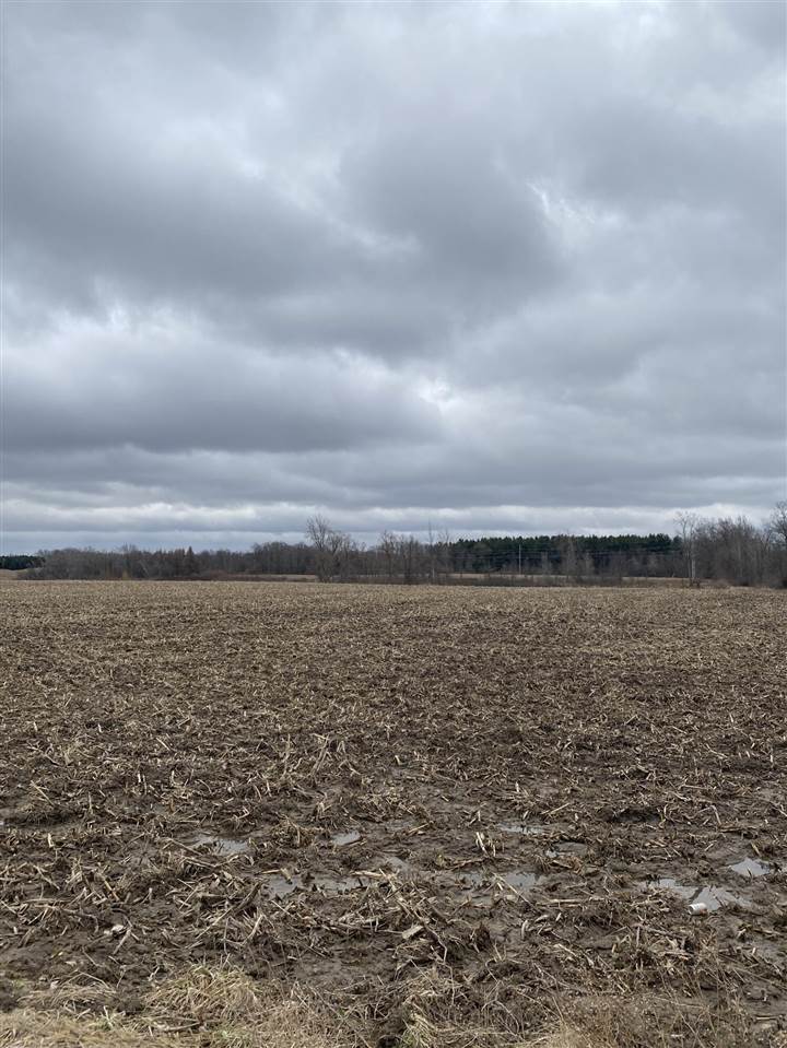 0 Ball Road Jonesville, MI 49250 - Photo 1 of 2 Gallery Image 1