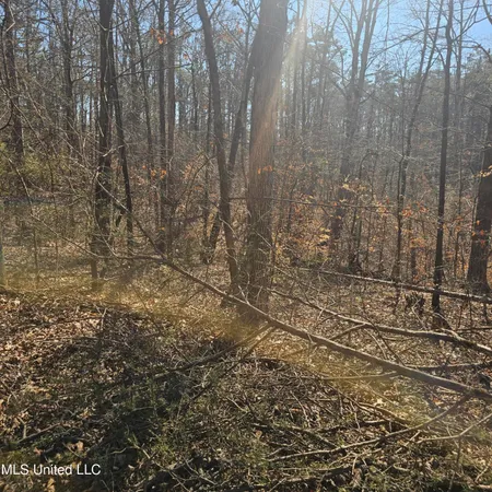 $30,000 | 1204 Lake Breeze Drive, Hickory Flat, MS 38633