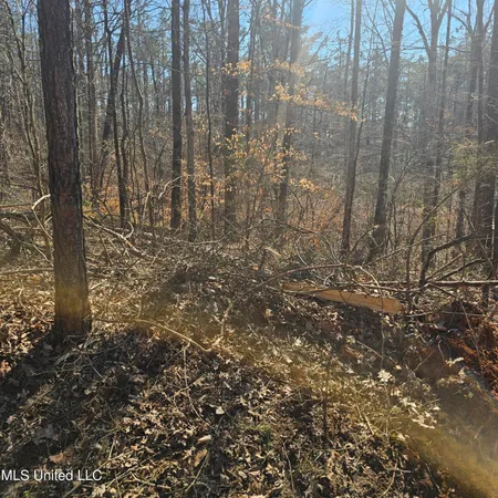 $30,000 | 1204 Lake Breeze Drive, Hickory Flat, MS 38633